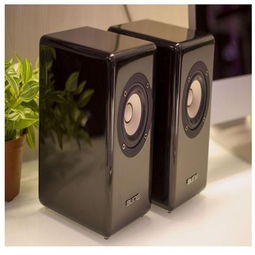 高声音响设备加盟评估 机遇、优势与路径