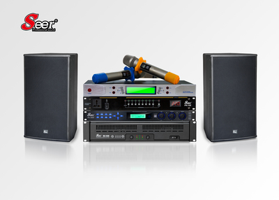 Seer音响KJ-10朗声音响 单十寸全频音箱的性能与应用解析